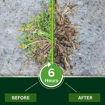 🏆AEXZR® 2 in 1 Max Power Herbicide🍃