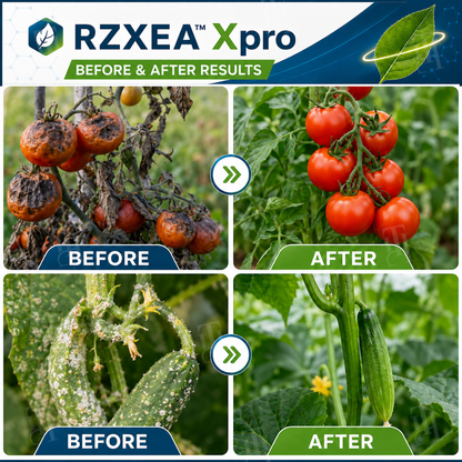 RZXEA™  Xpro Prothioconazole Systemic Fungicide