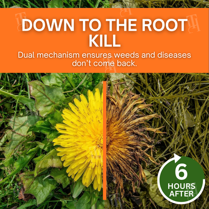 🏆AEXZR® 2-in-1 Max Power Herbicide🌿☠️